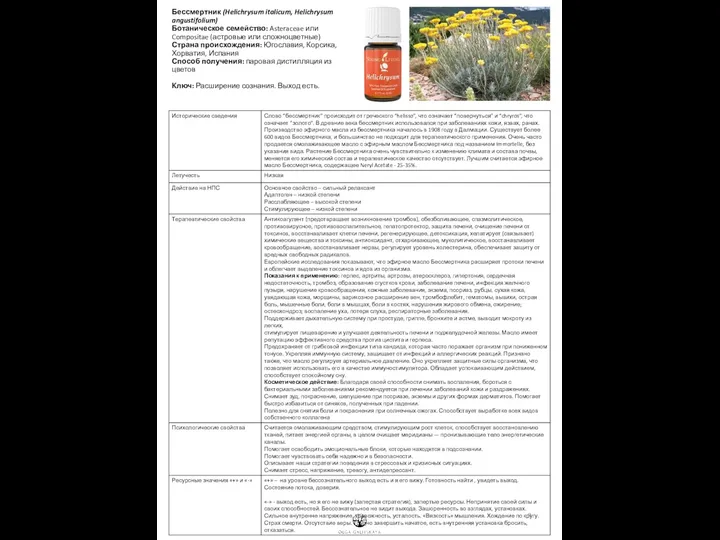 Бессмертник (Helichrysum italicum, Helichrysum angustifolium) Ботаническое семейство: Asteraceae или Compositae (астровые или сложноцветные)
