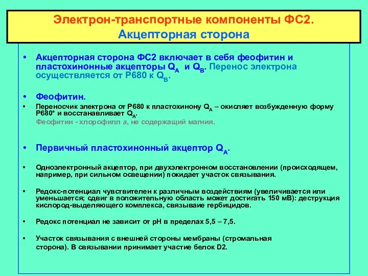 Акцепторная сторона ФС2 включает в себя феофитин и пластохинонные акцепторы