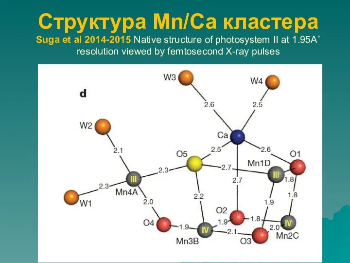 Структура Mn/Са кластера Suga et al 2014-2015 Native structure of