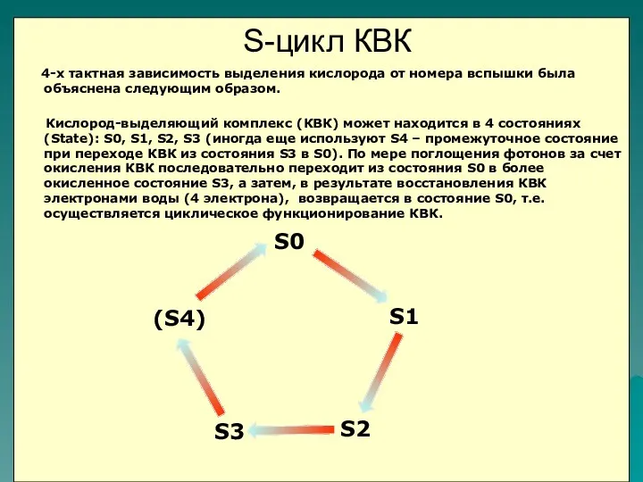 4-х тактная зависимость выделения кислорода от номера вспышки была объяснена