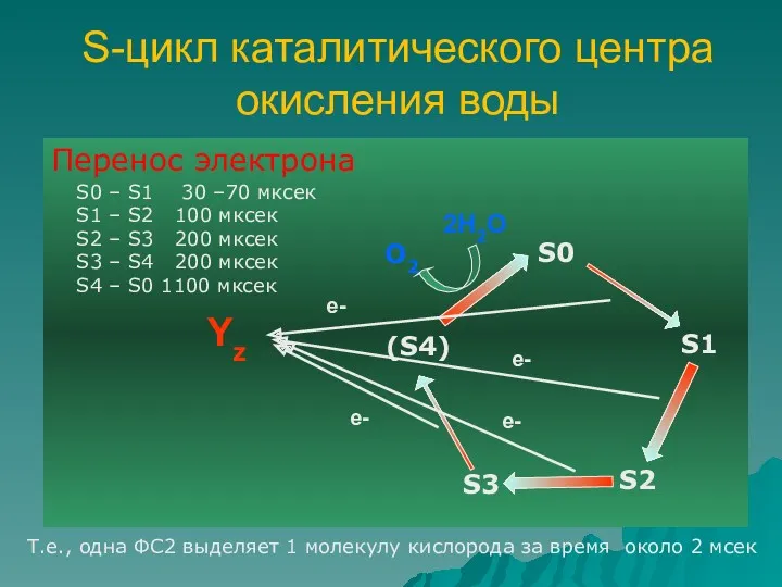 S-цикл каталитического центра окисления воды Перенос электрона S0 – S1