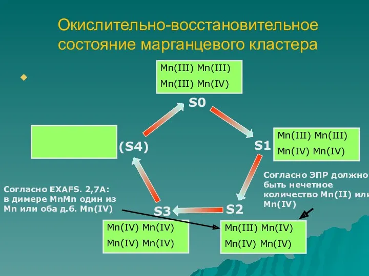 Окислительно-восстановительное состояние марганцевого кластера Согласно ЭПР должно быть нечетное количество