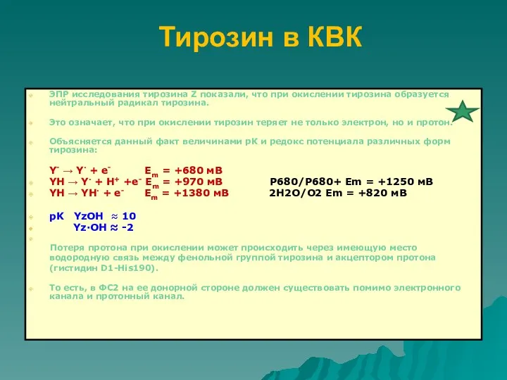 Тирозин в КВК ЭПР исследования тирозина Z показали, что при