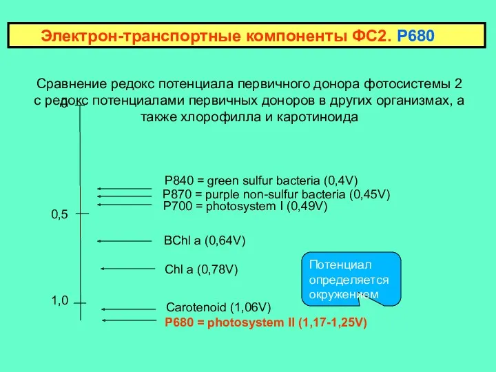 Сравнение редокс потенциала первичного донора фотосистемы 2 с редокс потенциалами