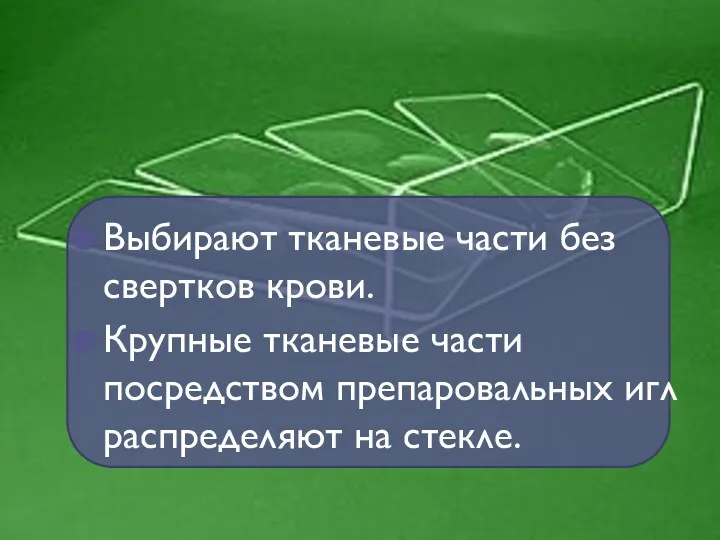 Выбирают тканевые части без свертков крови. Крупные тканевые части посредством препаровальных игл распределяют на стекле.