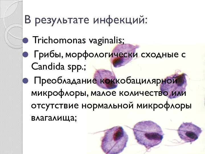 В результате инфекций: Trichomonas vaginalis; Грибы, морфологически сходные с Candida