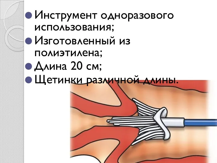 Инструмент одноразового использования; Изготовленный из полиэтилена; Длина 20 см; Щетинки различной длины.