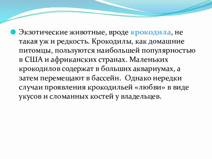 Экзотические животные, вроде крокодила, не такая уж и редкость. Крокодилы,