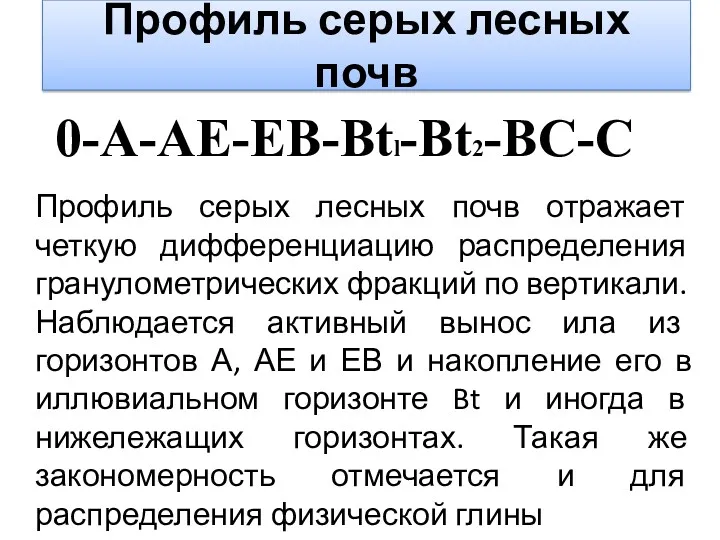 Профиль серых лесных почв 0-A-AE-EB-Btl-Bt2-BC-C Профиль серых лесных почв отражает