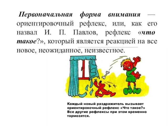 Первоначальная форма внимания — ориентировочный рефлекс, или, как его назвал