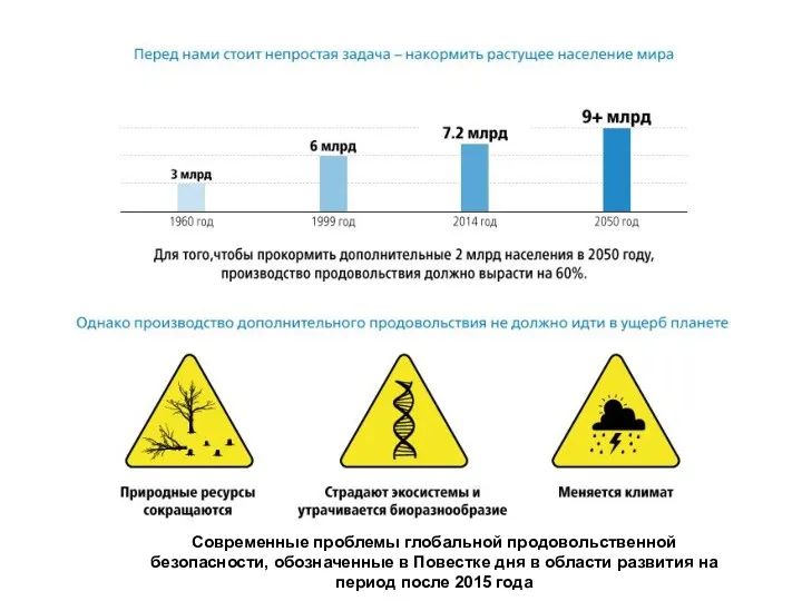 Современные проблемы глобальной продовольственной безопасности, обозначенные в Повестке дня в