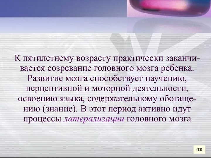 К пятилетнему возрасту практически заканчи-вается созревание головного мозга ребенка. Развитие