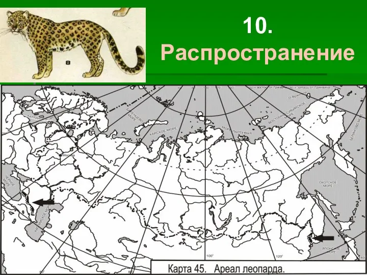 10. Распространение