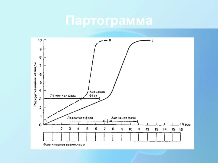 Партограмма