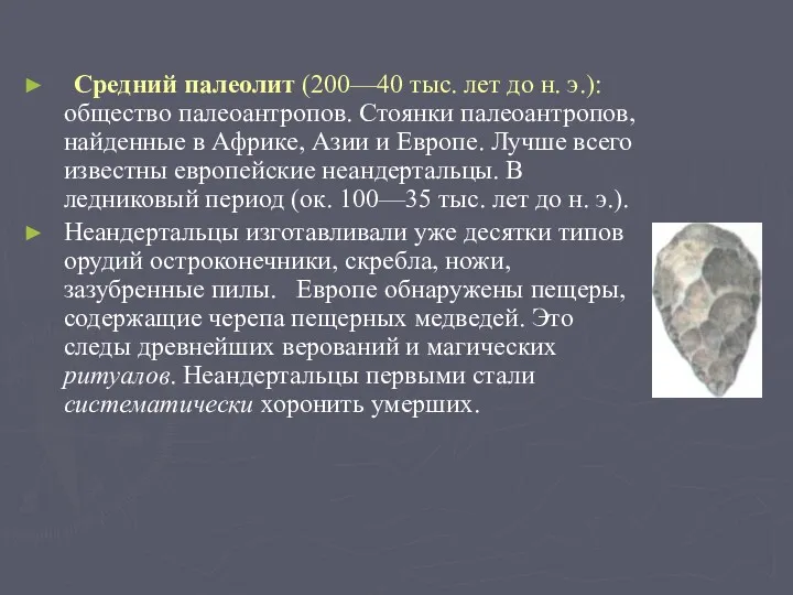 Средний палеолит (200—40 тыс. лет до н. э.): общество палеоантропов.