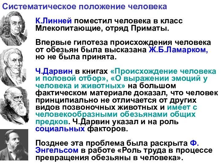 К.Линней поместил человека в класс Млекопитающие, отряд Приматы. Впервые гипотеза