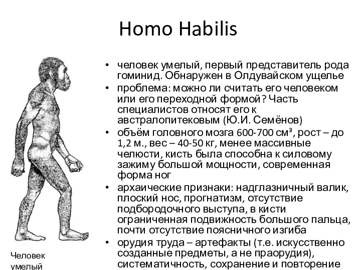 Homo Habilis человек умелый, первый представитель рода гоминид. Обнаружен в