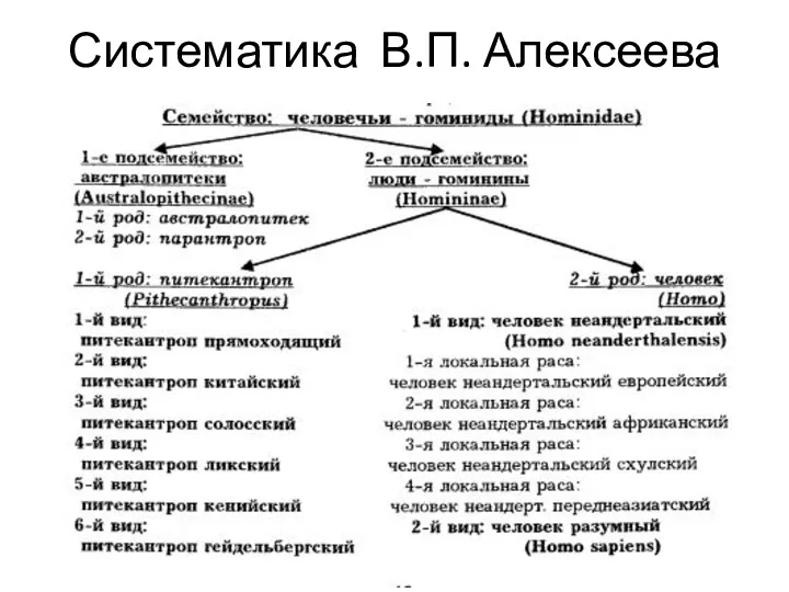 Систематика В.П. Алексеева