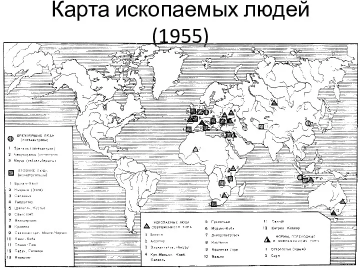 Карта ископаемых людей (1955)