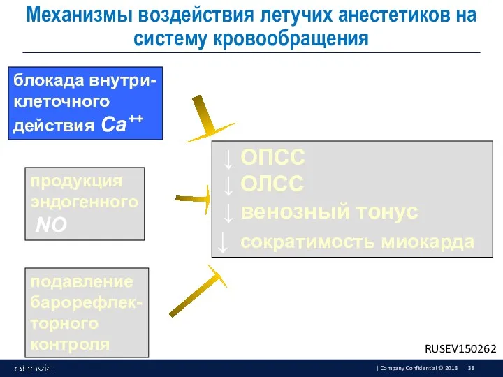 Механизмы воздействия летучих анестетиков на систему кровообращения ↓ ОПСС ↓