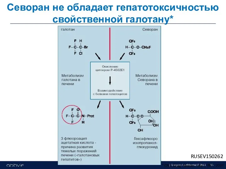 Севоран не обладает гепатотоксичностью свойственной галотану* * CNS Drag Rewies. Vol.7, №1, 2001