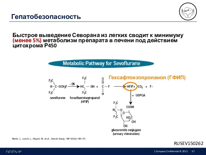 Быстрое выведение Севорана из легких сводит к минимуму (менее 5%)