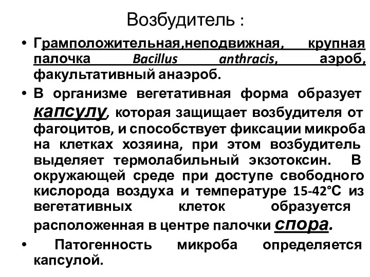 Возбудитель : Грамположительная,неподвижная, крупная палочка Bacillus anthracis, аэроб, факультативный анаэроб.