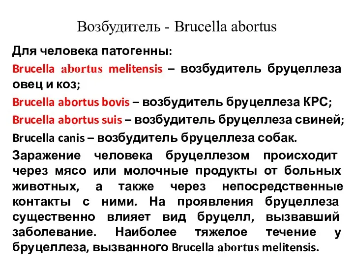 Возбудитель - Brucella abortus Для человека патогенны: Brucella abortus melitensis