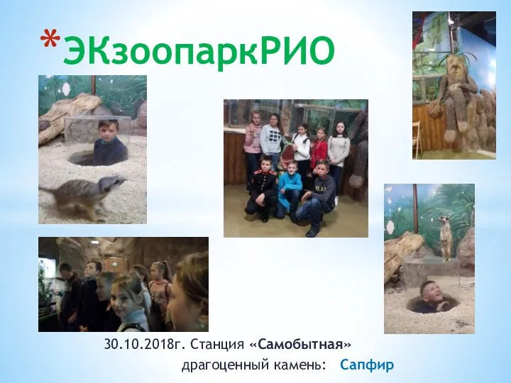 30.10.2018г. Станция «Самобытная» драгоценный камень: Сапфир ЭКзоопаркРИО