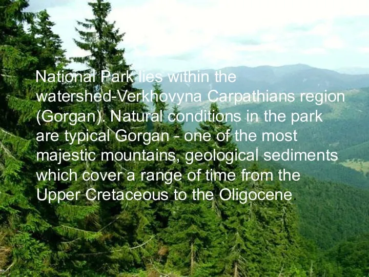 National Park lies within the watershed-Verkhovyna Carpathians region (Gorgan). Natural