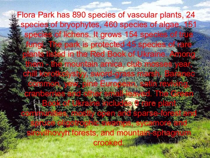 Flora Park has 890 species of vascular plants, 24 species