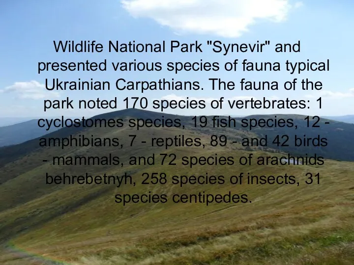 Wildlife National Park "Synevir" and presented various species of fauna