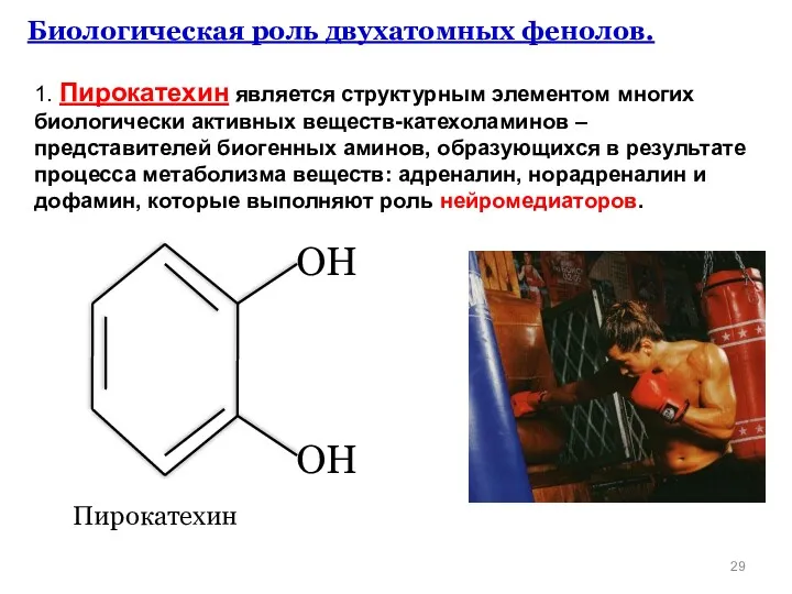 ОН ОН Биологическая роль двухатомных фенолов. Пирокатехин 1. Пирокатехин является