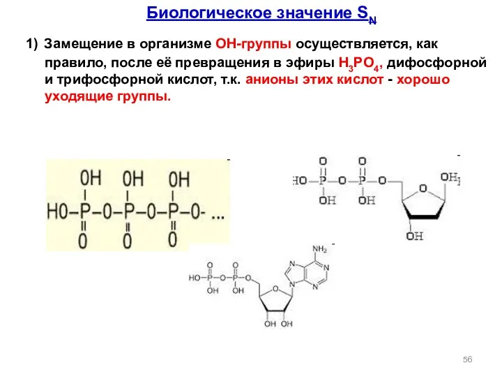 Биологическое значение SN 1) Замещение в организме ОН-группы осуществляется, как