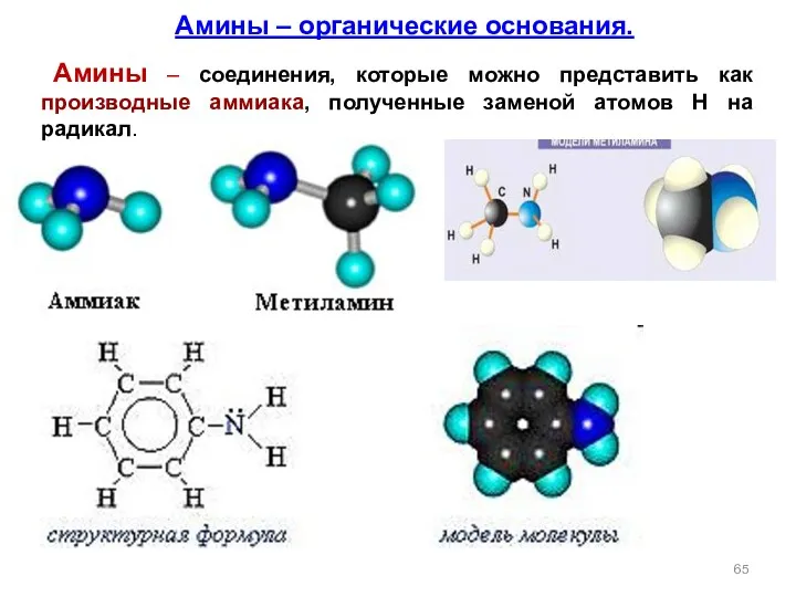 Амины – органические основания. Амины – соединения, которые можно представить