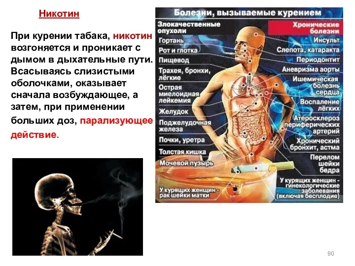 При курении табака, никотин возгоняется и проникает с дымом в