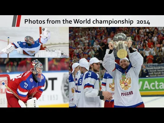 Photos from the World championship 2014