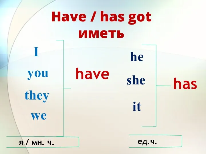 Have / has got иметь I you they we he