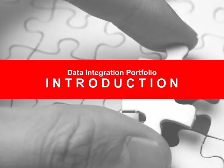 Data Integration Portfolio I N T R O D U C T I O N