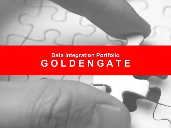 Data Integration Portfolio G O L D E N G A T E
