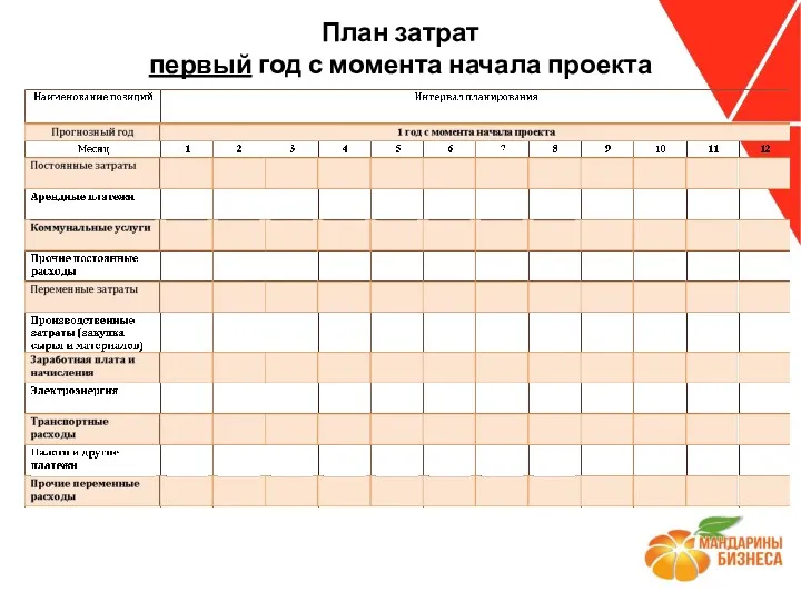 План затрат первый год с момента начала проекта