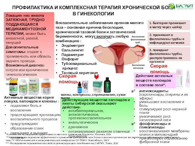 Активные вещества корня лопуха, пелоидов и клюквы : подавляют боль