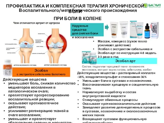 Воспалительного/метаболического происхождения ПРИ БОЛИ В КОЛЕНЕ ПРОФИЛАКТИКА И КОМПЛЕКСНАЯ ТЕРАПИЯ