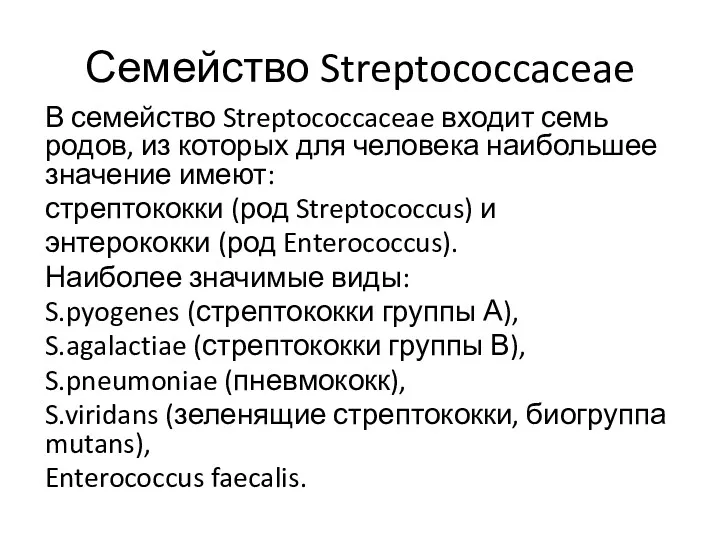 Семейство Streptococcaceae В семейство Streptococcaceae входит семь родов, из которых для человека наибольшее