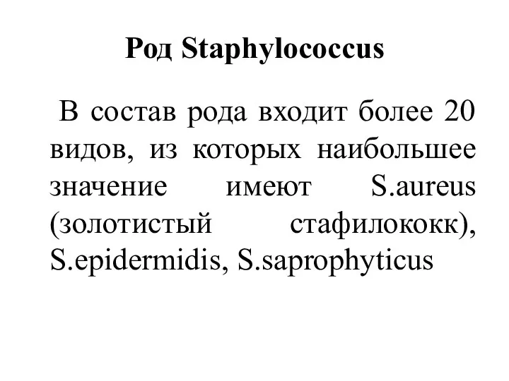 Род Staphylococcus В состав рода входит более 20 видов, из которых наибольшее значение
