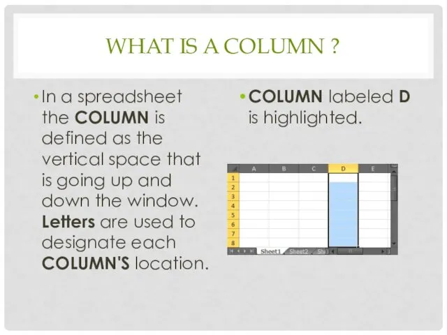 WHAT IS A COLUMN ? In a spreadsheet the COLUMN