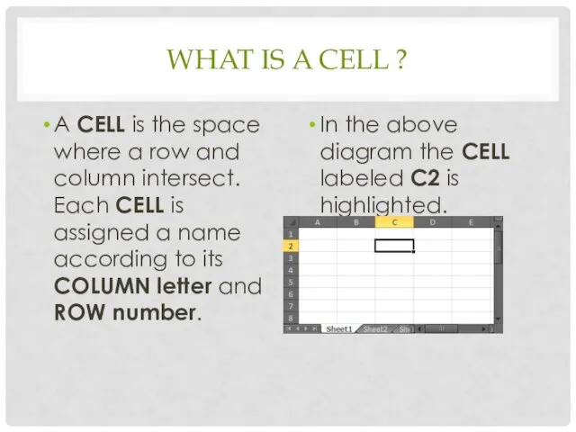 WHAT IS A CELL ? A CELL is the space