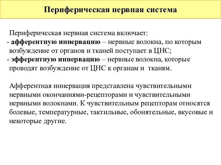 Периферическая нервная система Периферическая нервная система включает: афферентную иннервацию –