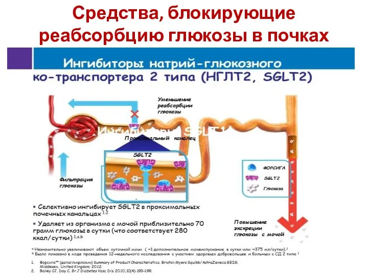 Средства, блокирующие реабсорбцию глюкозы в почках