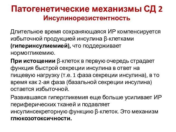 Патогенетические механизмы СД 2 Инсулинорезистентность Длительное время сохраняющаяся ИР компенсируется